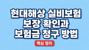 현대해상 실비보험 보장 확인과 보험금 청구 방법