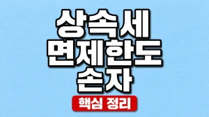 손자 상속세 면제한도와 세대생략 할증·공제 2 상속세 면제한도 손자