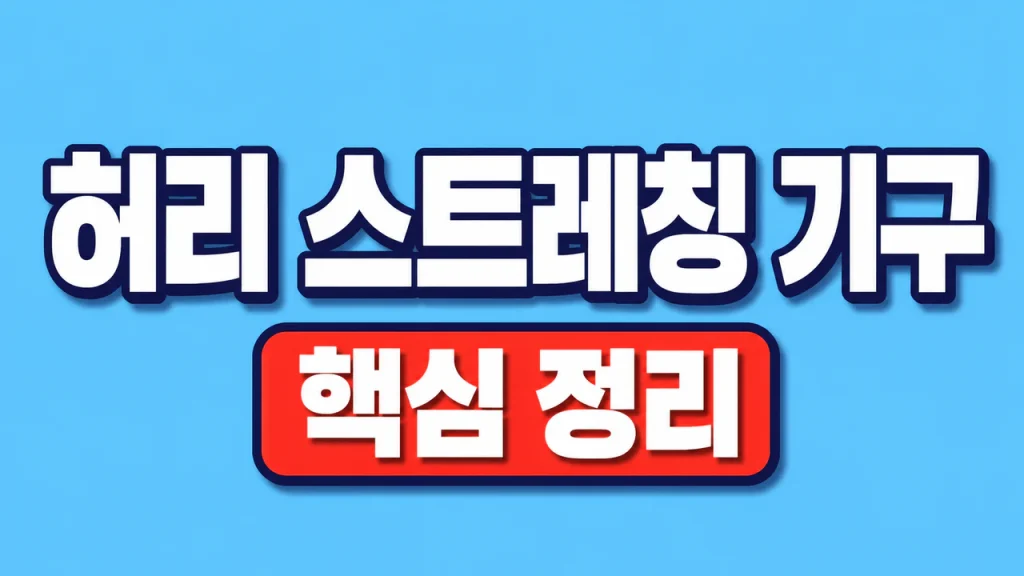 허리 스트레칭 기구 선택과 안전한 사용법 1 허리 스트레칭 기구