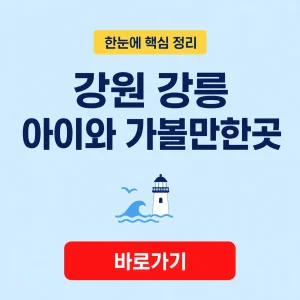 강원 강릉 아이와 가볼만한곳 대표 이미지