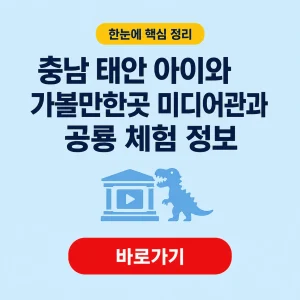 충남 태안 아이와 가볼만한곳 미디어관과 공룡 체험 정보 2 충남 태안 아이와 가볼만한곳 대표 이미지