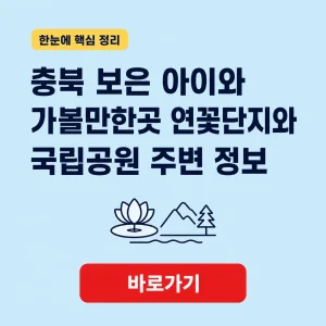 충북 보은 아이와 가볼만한곳 대표 이미지