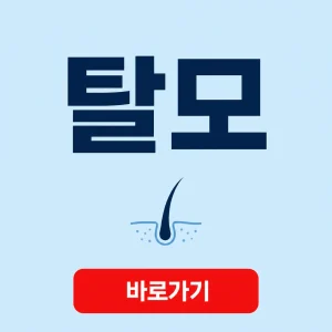 탈모 대표 이미지