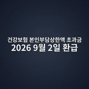 건강보험 본인부담상한액 초과금 2026 환급·9월 2일 지급 4 건강보험 본인부담상한액 초과금 2026 환급 안내 썸네일