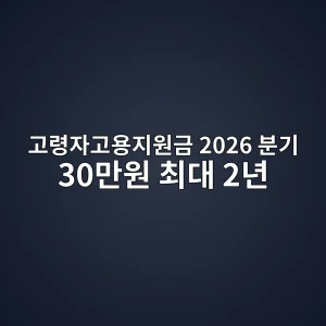 고령자고용지원금 2026 분기 30만원·최대 2년 신청 1 고령자고용지원금 2026 대상 혜택 신청 썸네일
