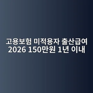 고용보험 미적용자 출산급여 2026 150만원·1년 내 신청 9 고용보험 미적용자 출산급여 2026 대상 신청 썸네일