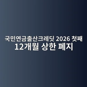 국민연금출산크레딧 2026 첫째 12개월 안내 썸네일