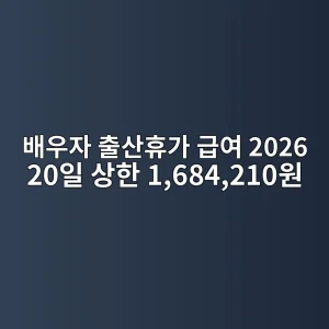 배우자 출산휴가 급여 2026 20일·168만원·신청방법 7 배우자 출산휴가 급여 2026 20일 상한 1,684,210원 썸네일