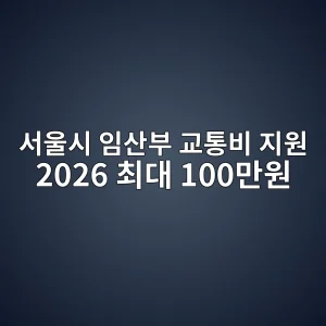 서울시 임산부 교통비 지원 2026 최대 100만원·신청방법 5 서울시 임산부 교통비 지원 2026 최대 100만원 썸네일