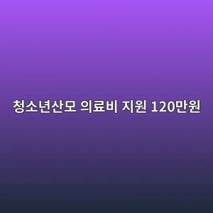 청소년산모 임신·출산 의료비 지원 2026 120만원 신청 방법 16 ecb2adec868ceb8584ec82b0ebaaa8 ec9d98eba38cebb984 eca780ec9b90 120eba78cec9b90 1788388785