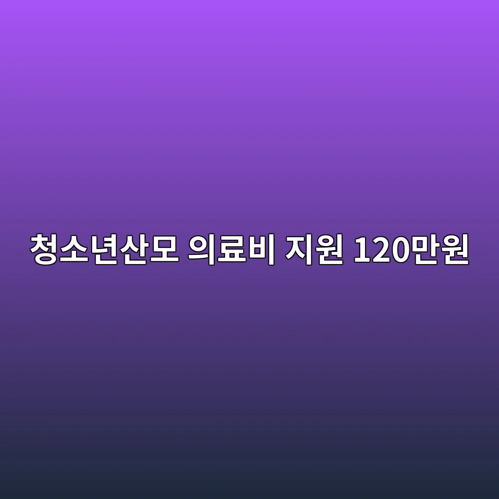 청소년산모 임신·출산 의료비 지원 2026 120만원 신청 방법 2 청소년산모 임신·출산 의료비 지원 사용처