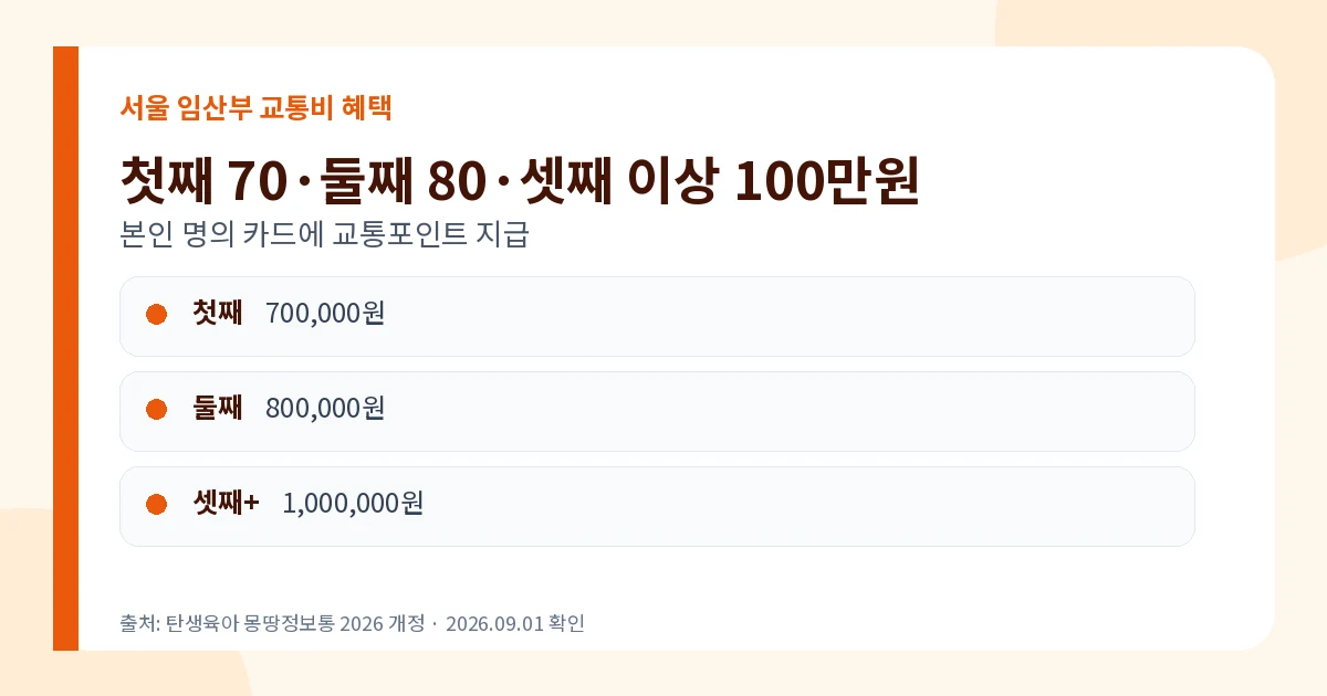 서울시 임산부 교통비 지원 2026 최대 100만원·신청방법 2 서울시 임산부 교통비 첫째 70만원 둘째 80만원 셋째 100만원